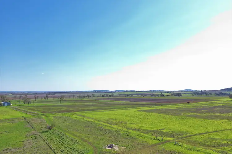Third view of Homely rural property listing, 164 Palmer Road, Nobby QLD 4360