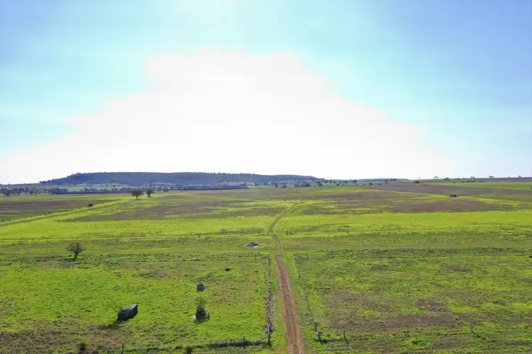 Fourth view of Homely rural property listing, 164 Palmer Road, Nobby QLD 4360