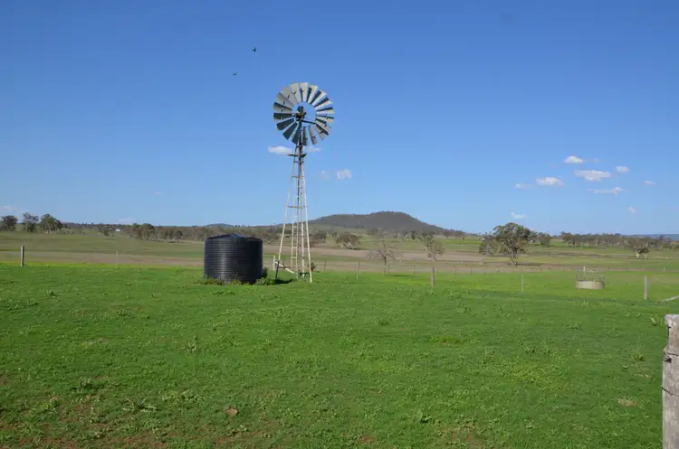 Sixth view of Homely rural property listing, 164 Palmer Road, Nobby QLD 4360