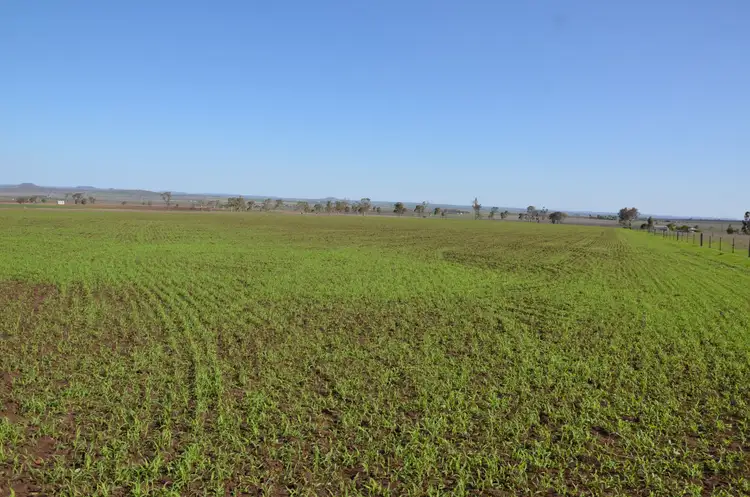 Seventh view of Homely rural property listing, 164 Palmer Road, Nobby QLD 4360