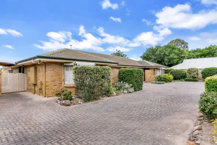 Main view of Homely unit listing, 5/47 Albion Terrace, Campbelltown SA 5074