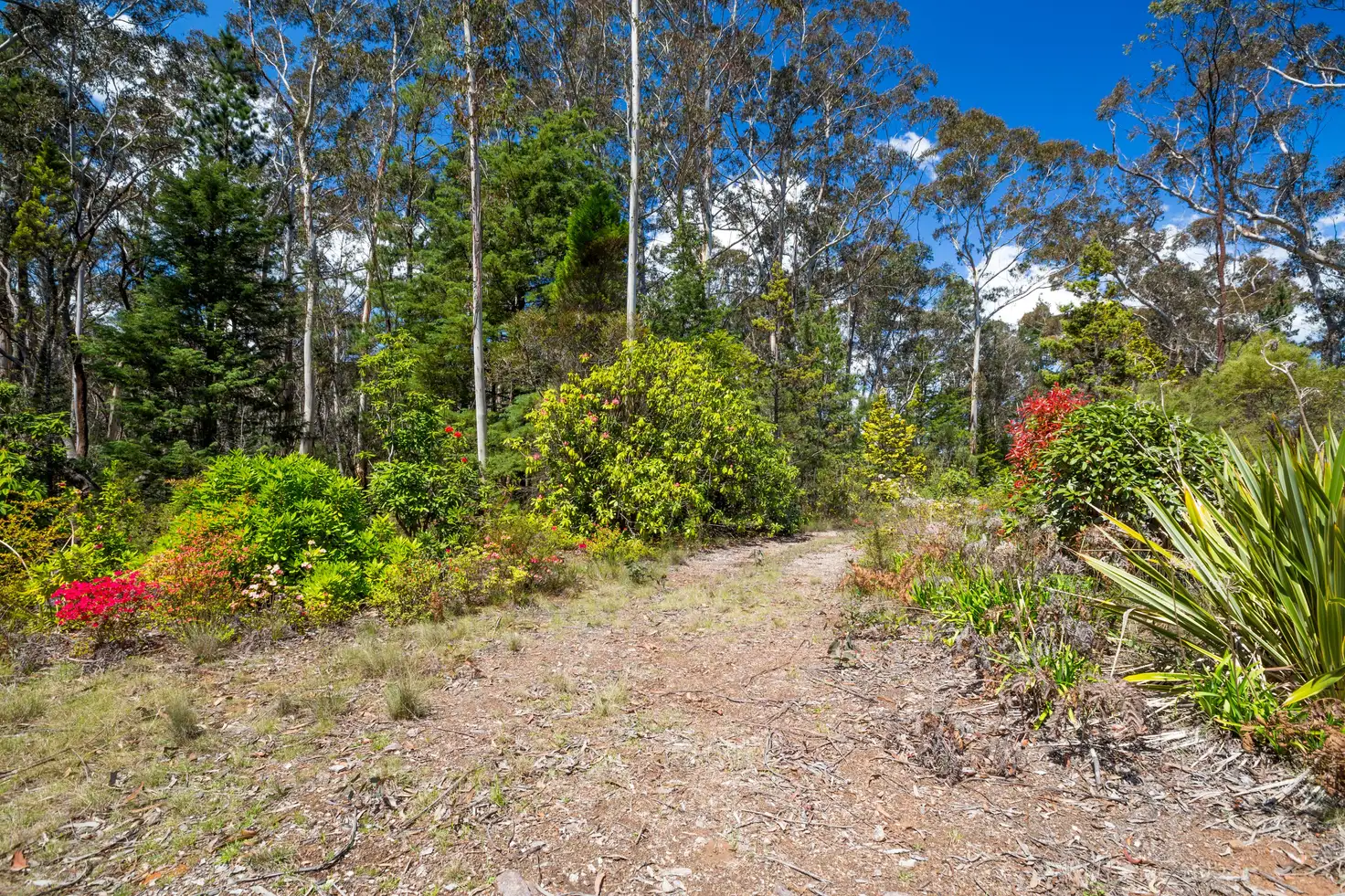 Main view of Homely land listing, 34-36 Rutland Road, Medlow Bath NSW 2780