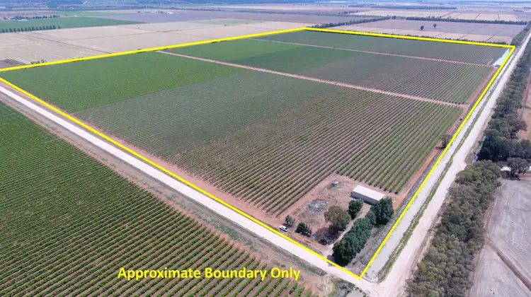 Main view of Homely rural property listing, Farm 1444A Kearey Road, Bilbul NSW 2680