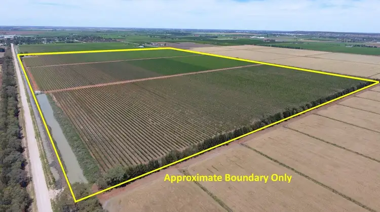Second view of Homely rural property listing, Farm 1444A Kearey Road, Bilbul NSW 2680