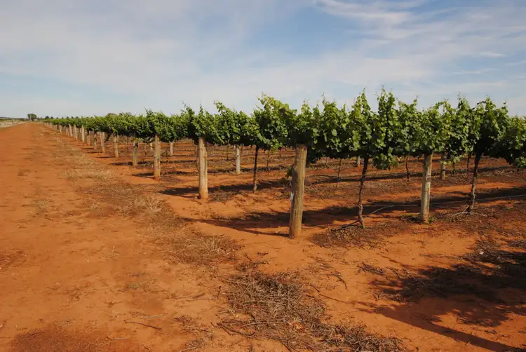 Third view of Homely rural property listing, Farm 1444A Kearey Road, Bilbul NSW 2680