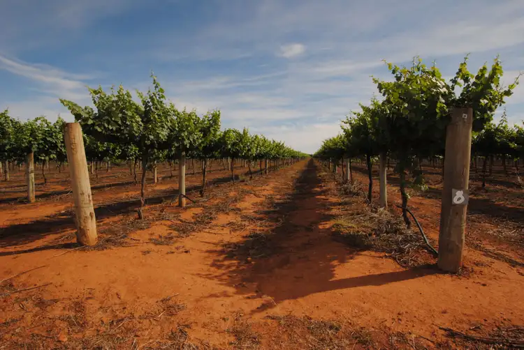 Fourth view of Homely rural property listing, Farm 1444A Kearey Road, Bilbul NSW 2680