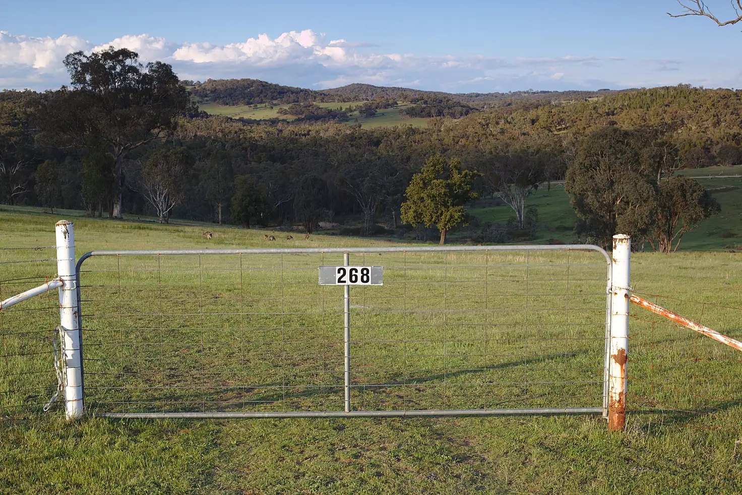 Main view of Homely rural property listing, 268 Horton Drive, Woodstock NSW 2793
