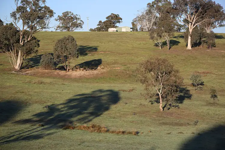 Second view of Homely rural property listing, 268 Horton Drive, Woodstock NSW 2793