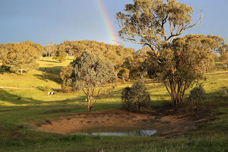 Fourth view of Homely rural property listing, 268 Horton Drive, Woodstock NSW 2793