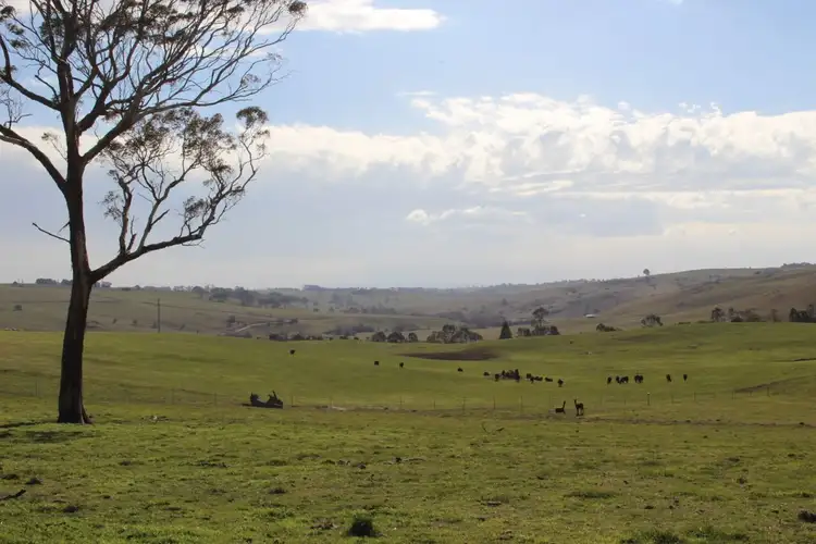 Lot 207 Browns Creek Road, Blayney NSW 2799
