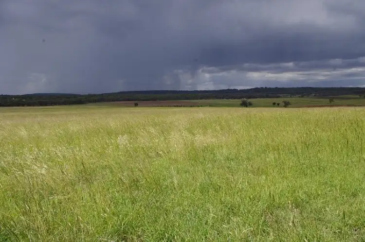 Main view of Homely rural property listing, 793 'Lindoran' Copeton Dam Road, Inverell NSW 2360