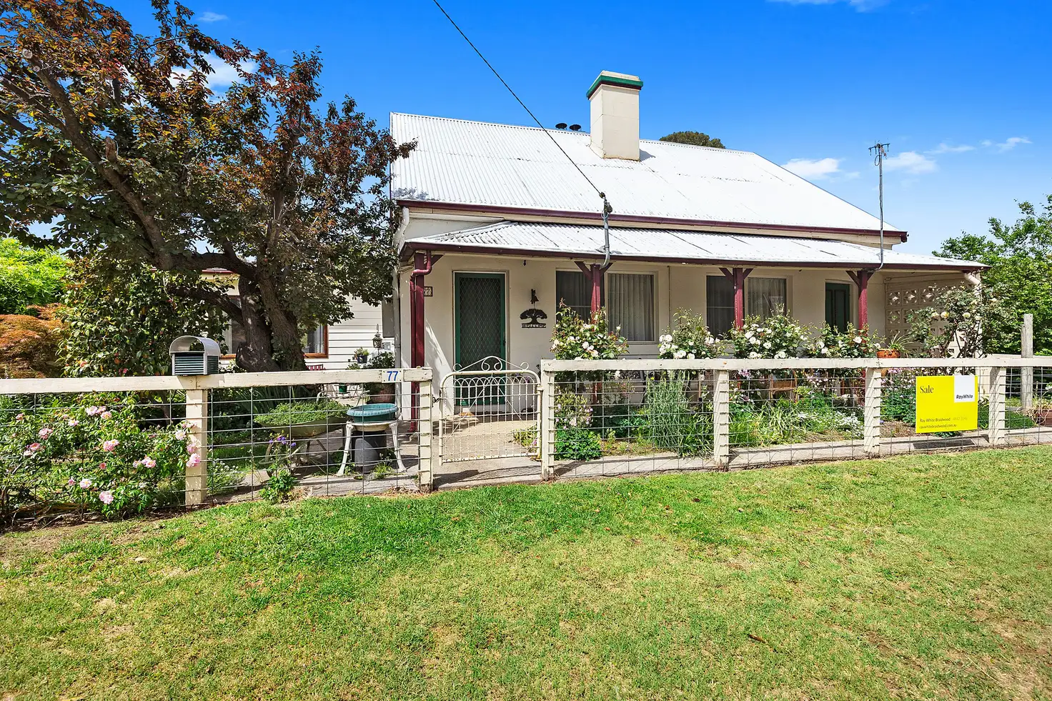 Main view of Homely house listing, 77 Lascelles Street, Braidwood NSW 2622