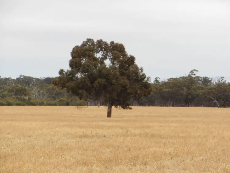 Second view of Homely rural property listing, Lot 74 Pindellup Road, Tambellup WA 6320