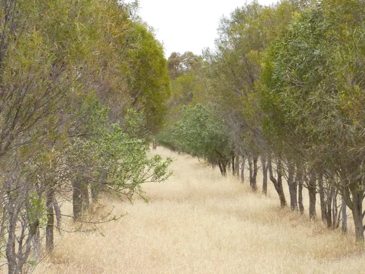 Fourth view of Homely rural property listing, Lot 74 Pindellup Road, Tambellup WA 6320