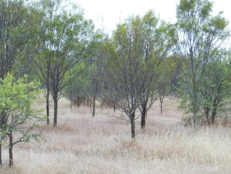 Fifth view of Homely rural property listing, Lot 74 Pindellup Road, Tambellup WA 6320