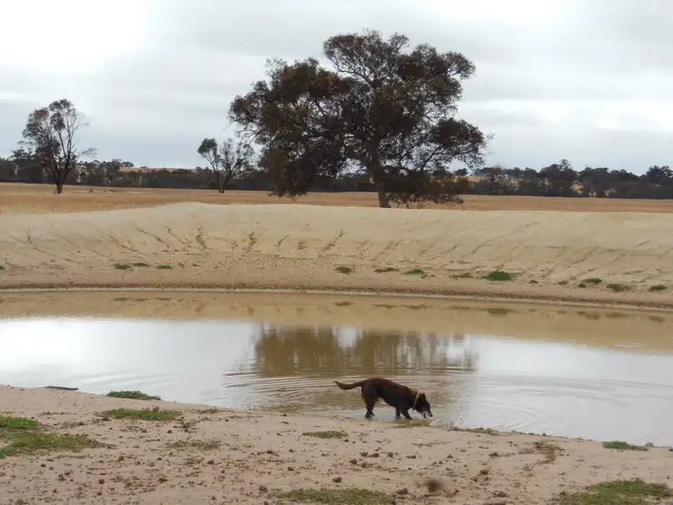 Seventh view of Homely rural property listing, Lot 74 Pindellup Road, Tambellup WA 6320