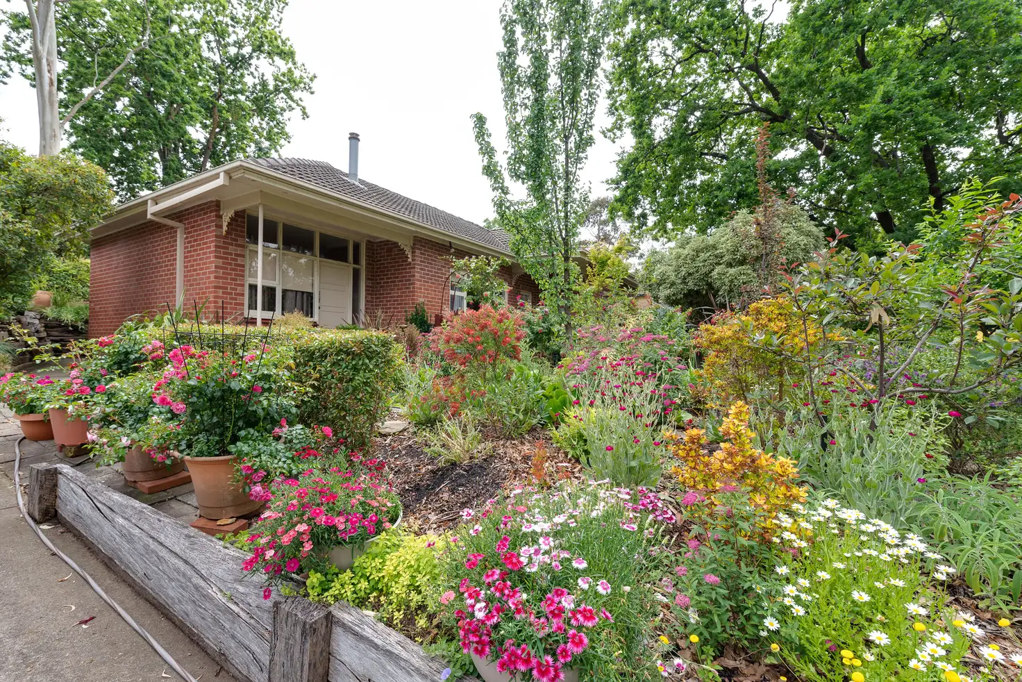 Main view of Homely house listing, 58 Cumming Street, Blackwood SA 5051