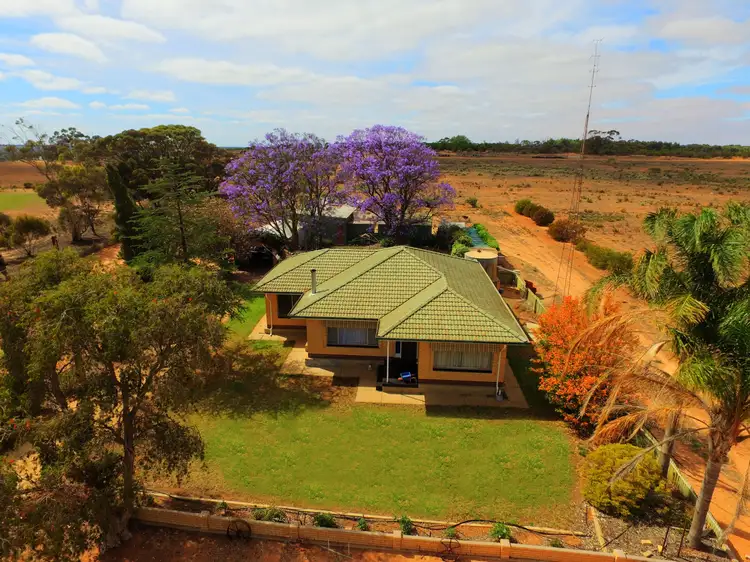 109 Wachtel Road, Moorook SA 5332