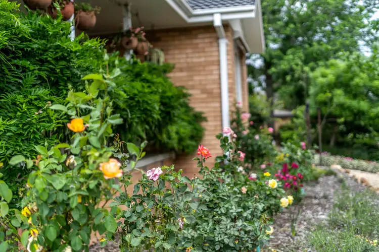 Third view of Homely house listing, 42 Clermont Street, Fisher ACT 2611