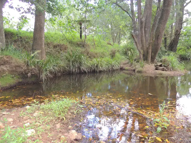 Sixth view of Homely rural property listing, 1079 Upper Myall Road, Bulahdelah NSW 2423