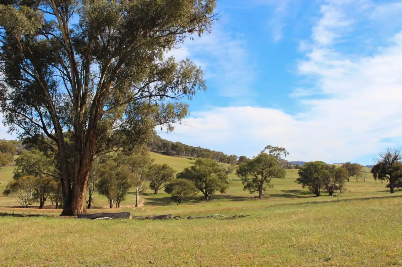 Main view of Homely rural property listing, 2529 Sofala Road, Bathurst NSW 2795