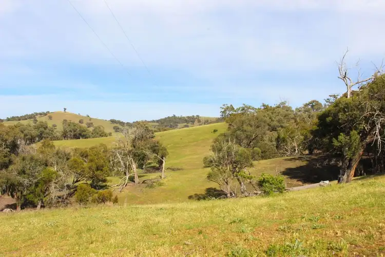 Sixth view of Homely rural property listing, 2529 Sofala Road, Bathurst NSW 2795