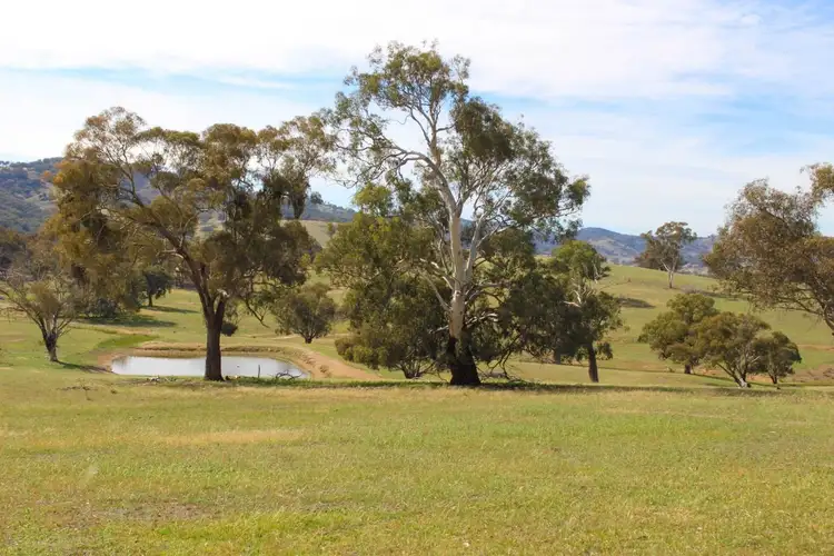 Seventh view of Homely rural property listing, 2529 Sofala Road, Bathurst NSW 2795