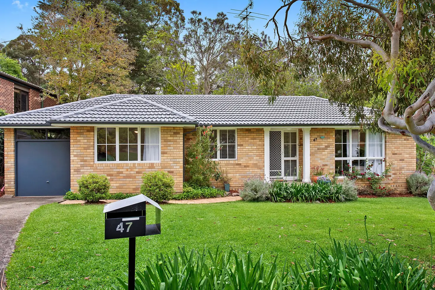 Main view of Homely house listing, 47 Woodbine Avenue, Normanhurst NSW 2076