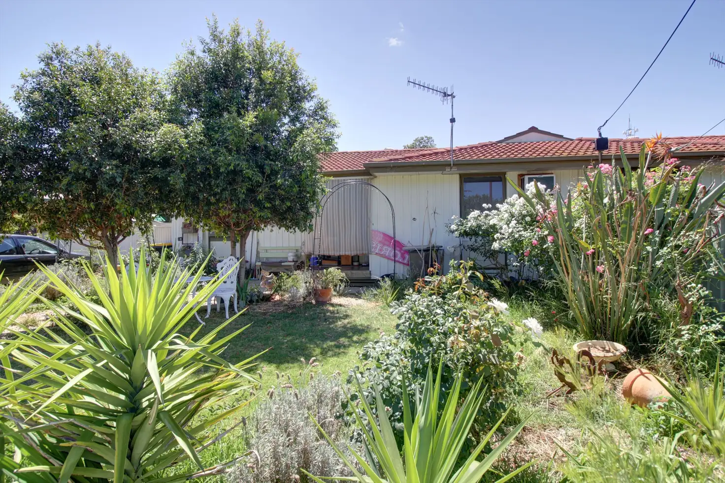 Main view of Homely house listing, 10 Belah Street, Renmark SA 5341