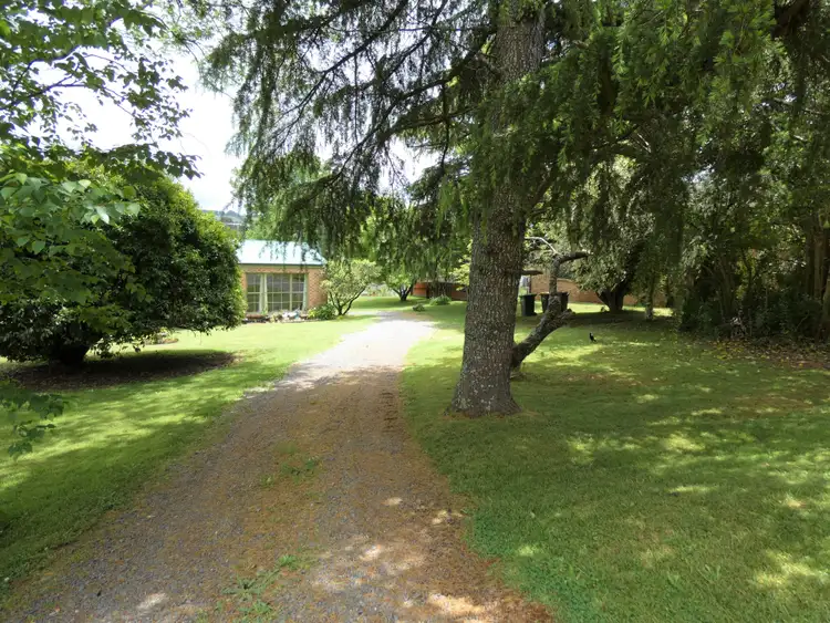 Main view of Homely house listing, 45 Myrtle Street, Dorrigo NSW 2453