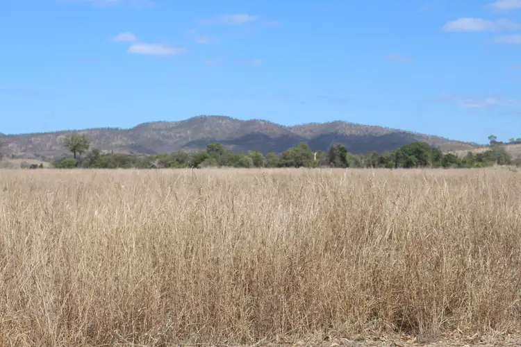 Third view of Homely rural property listing, 31 Duncan Road, Marmor QLD 4702