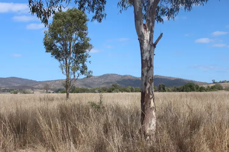 Fifth view of Homely rural property listing, 31 Duncan Road, Marmor QLD 4702