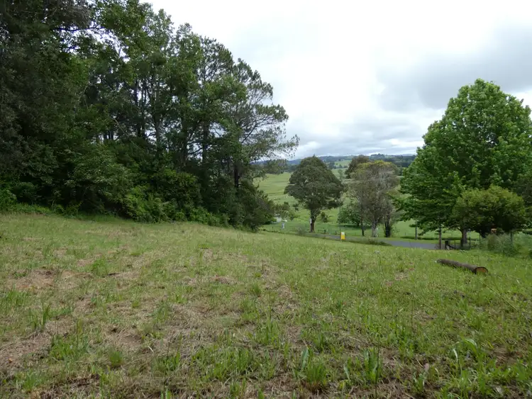 Fourth view of Homely land listing, 9 Hickory Street, Dorrigo NSW 2453
