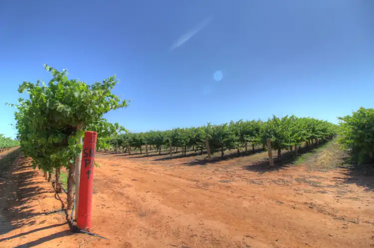 Sixth view of Homely rural property listing, Lots 10,11,50 Eastern Road, Monash SA 5342