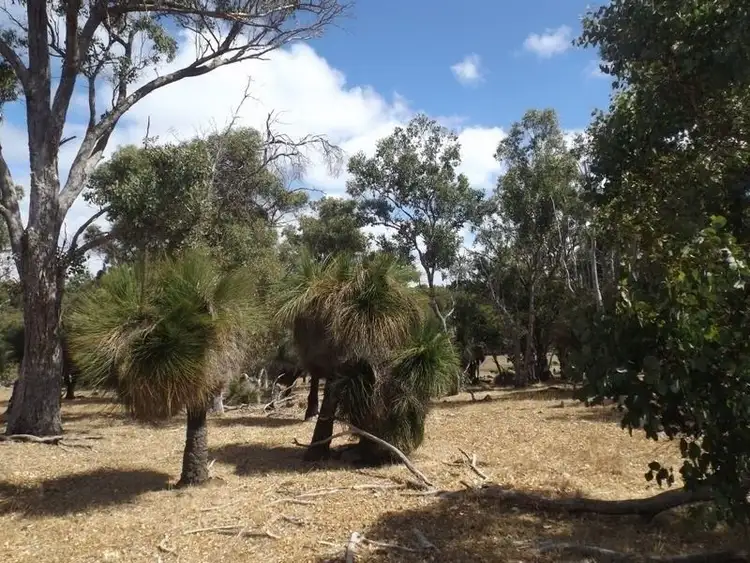 Seventh view of Homely rural property listing, Address available on request