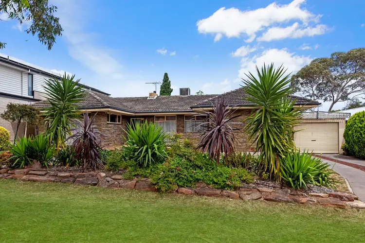 24 Mcarthur Avenue, Rostrevor SA 5073