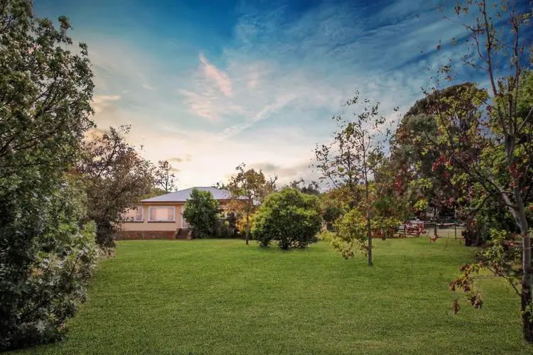 Main view of Homely house listing, 3 Coral Street, Willow Tree NSW 2339