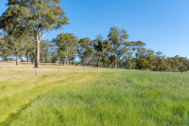 Fourth view of Homely rural property listing, 200 Quinns Road, Forreston SA 5233