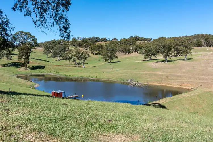 Sixth view of Homely rural property listing, 200 Quinns Road, Forreston SA 5233