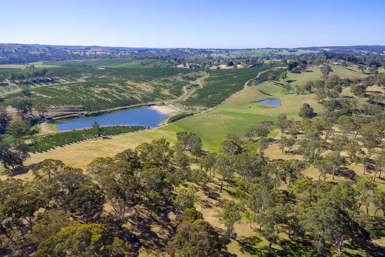 Seventh view of Homely rural property listing, 200 Quinns Road, Forreston SA 5233