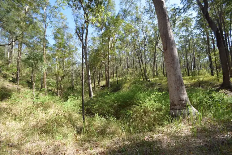 Fifth view of Homely rural property listing, 282 Whipbird Drive, Buaraba QLD 4311