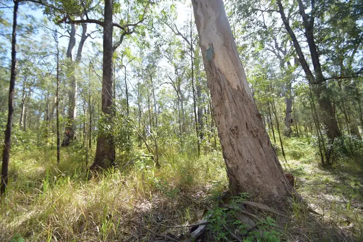 Seventh view of Homely rural property listing, 282 Whipbird Drive, Buaraba QLD 4311