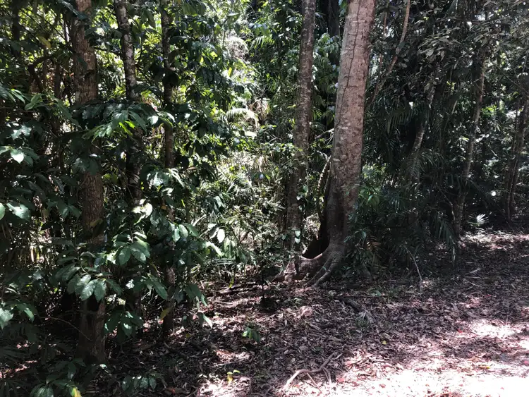 Second view of Homely land listing, Lot 197 Quandong Road, Cow Bay, Daintree QLD 4873