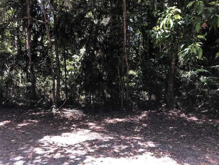 Fourth view of Homely land listing, Lot 197 Quandong Road, Cow Bay, Daintree QLD 4873