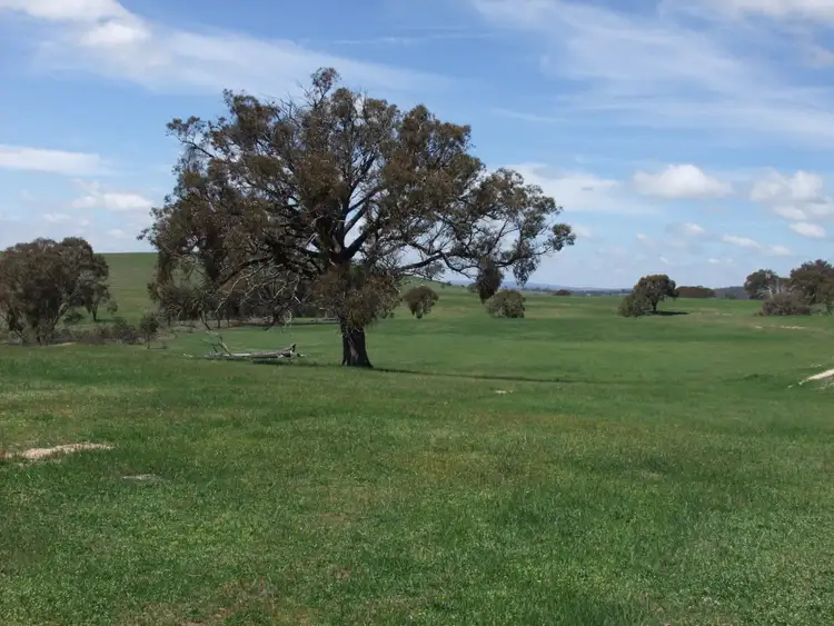 Fifth view of Homely rural property listing, 1781 Mitchell Highway, Bathurst NSW 2795