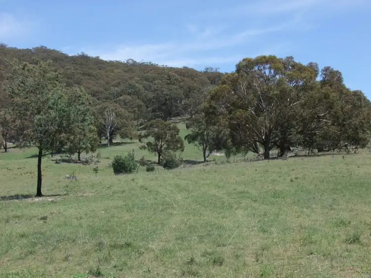 Seventh view of Homely rural property listing, 1781 Mitchell Highway, Bathurst NSW 2795