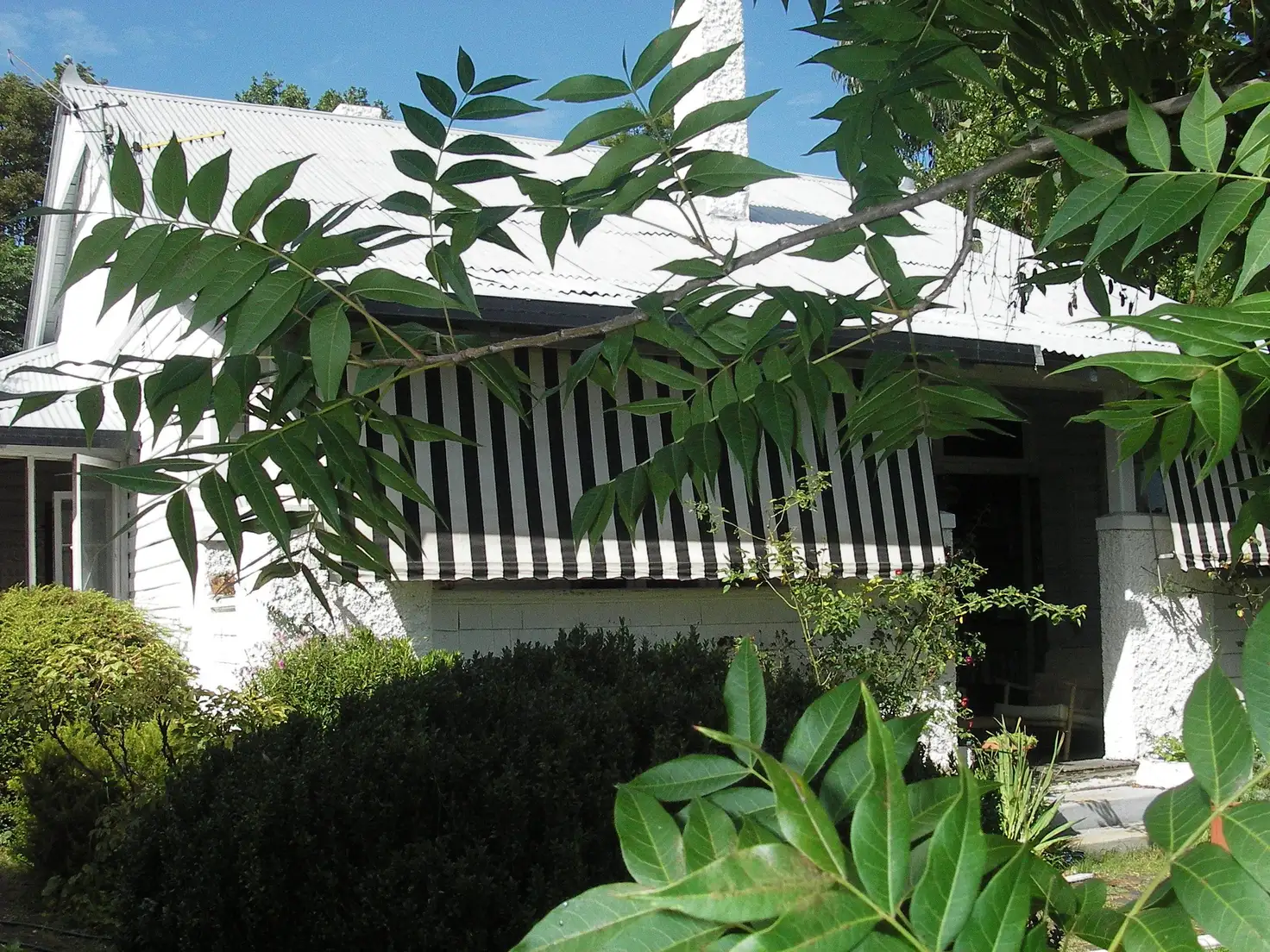 Main view of Homely house listing, 5 Torrington, Glen Innes NSW 2370