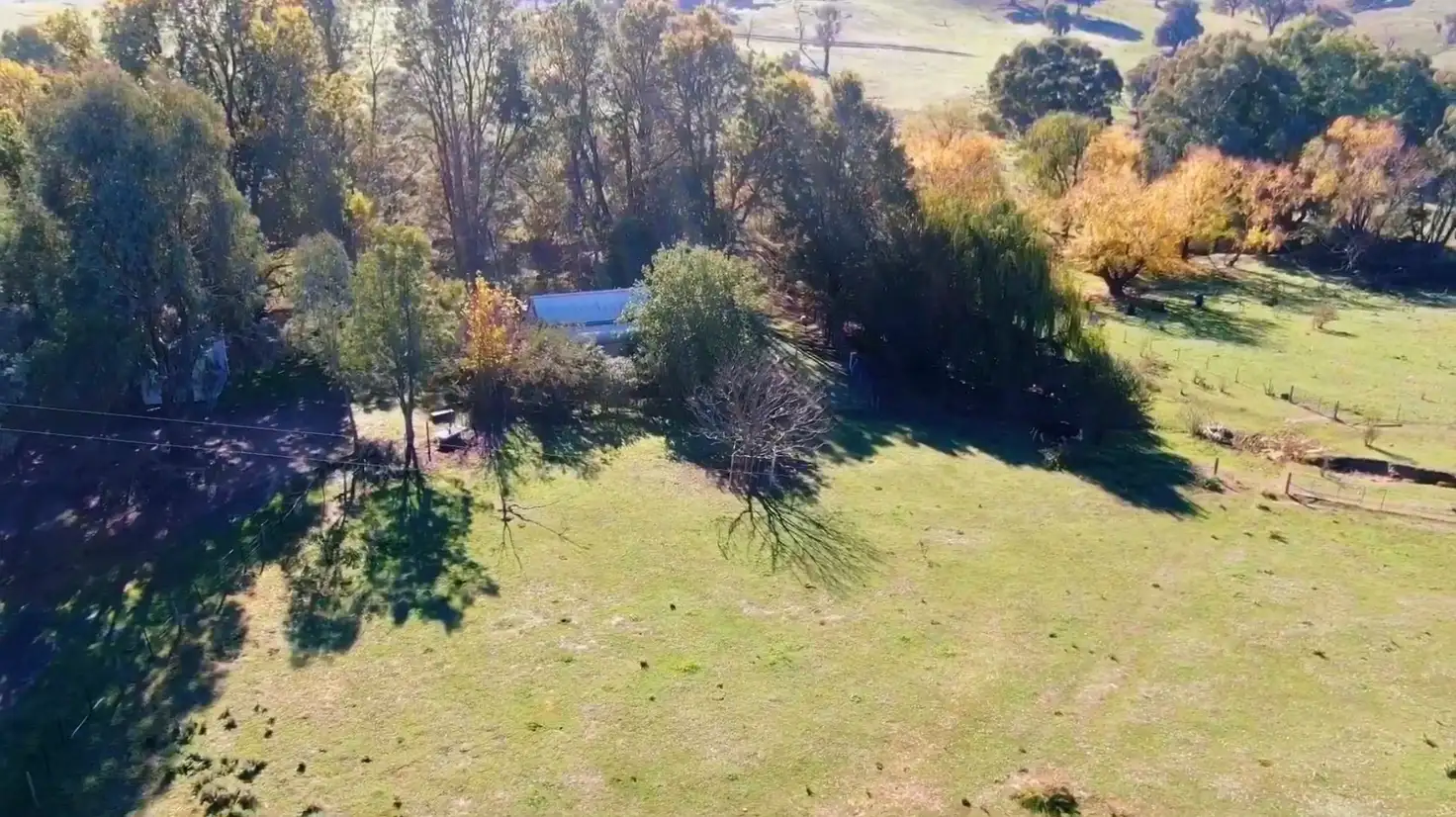 Main view of Homely rural property listing, 736 Woomargama Way, Woomargama NSW 2644