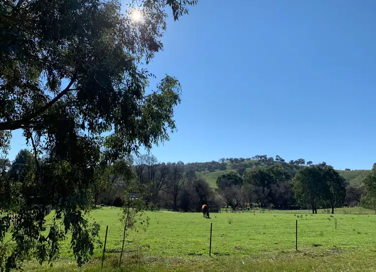 Second view of Homely rural property listing, 736 Woomargama Way, Woomargama NSW 2644