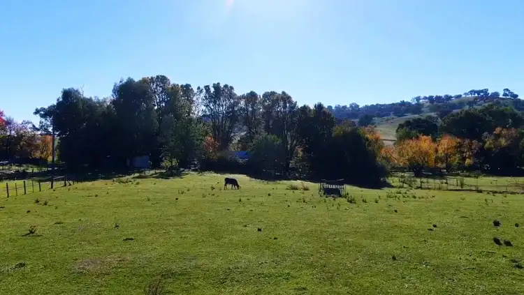 Third view of Homely rural property listing, 736 Woomargama Way, Woomargama NSW 2644